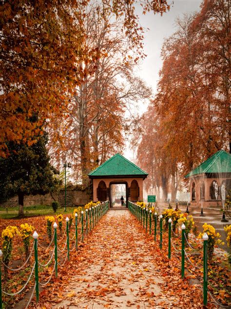 Unforgettable Kashmir experiences | Times of India