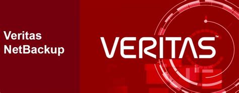 Image result for Veritas NetBackup Logo ISO