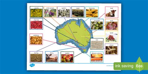 Australian Food Map (teacher made) - Twinkl