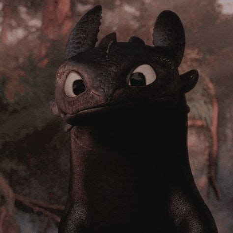 Image result for Toothless Pfpp