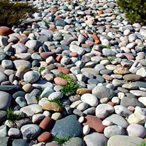 Colorado River Rock Landscaping