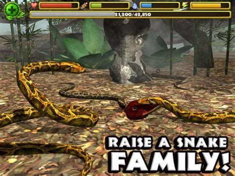 Image result for How to Play Snake Simulator