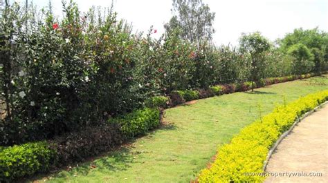 Vakil Whispering Woods - Koramangala, Bangalore - Residential Land ...