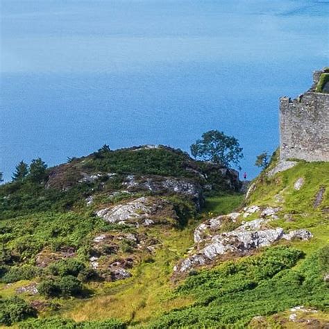 Cool Animation Meme Songs 的图像结果