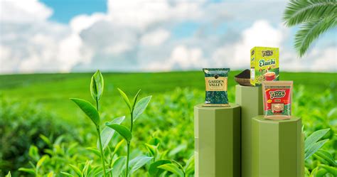 The Nice Tea – India’s Best Tea Brand | Authentic Tea