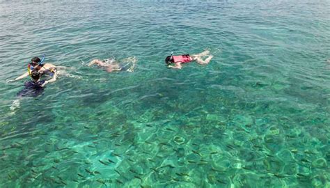 Snorkeling In Phuket Is All About Fun & These 15 Places Are Proof