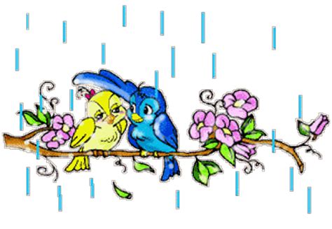 Image result for Bird Addiction Animation