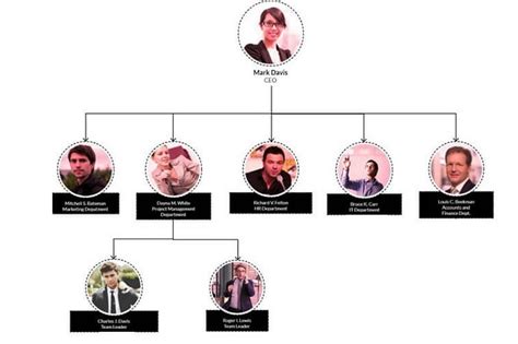 Image result for Org Chart Examples
