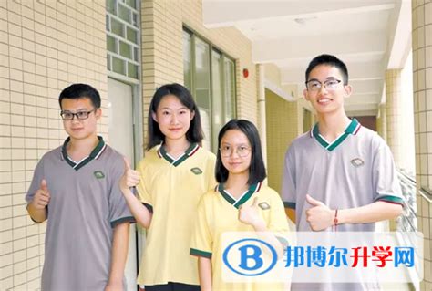 上海中原中学的升学率,浦区中原中学升学率,中原中学一本率是多少_大山谷图库