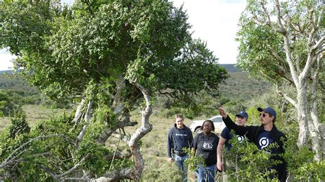 Image result for Environment Project Development