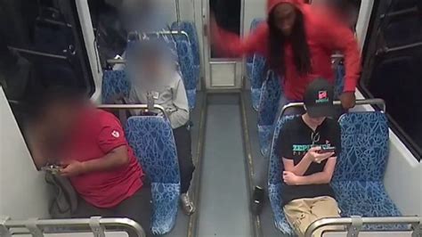 Iryna Zarutska Killer