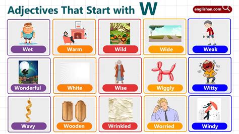 Adjectives Starting with W: 150+ Essential Words for Learners