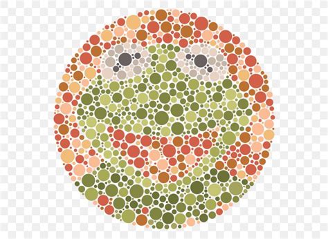 Ishihara Color Vision Testing 的图像结果