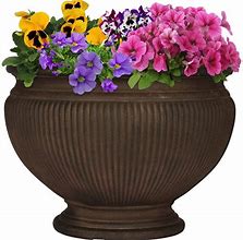 planters & flower pots  的图像结果