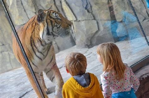 ZooLex Image - Up-close viewing