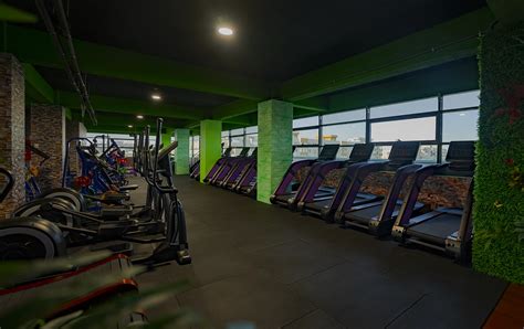 Team – Coliseum Gym