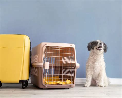 Best Indian Packers and Movers | Relocation Experts – Pan-India Coverage