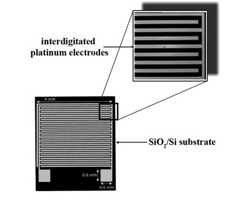 SiO2 Substrate 的图像结果