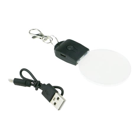 Image result for LED Lighted Keychain