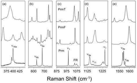 A Raman Spectroscopic and Computational Study of New Aromatic ...
