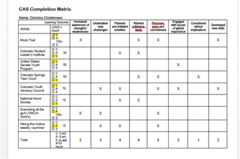 CAS Matrix Solver 的图像结果