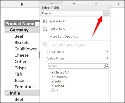 How to Filter Data in PivotTable 的图像结果
