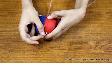 Working Model of Heart 的图像结果