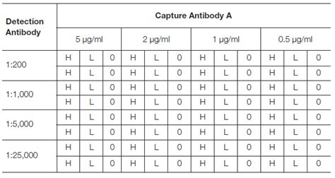 Image result for Elisa Protocol Blocking Buffer