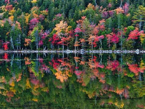 Image result for Error Red Color Code