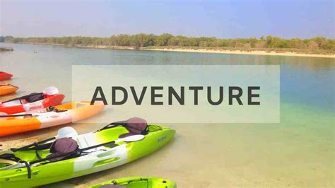 Country Fun 的图像结果