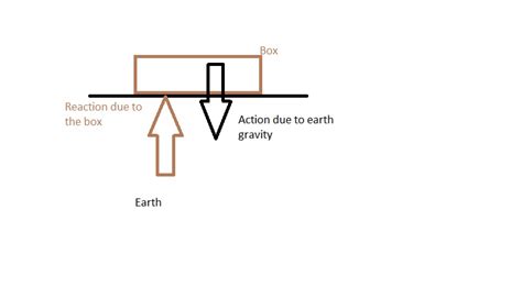 Normal Reaction 的图像结果