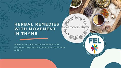 Homemade Herbal Remedies with Movement in Thyme, The Hub - FEL Scotland ...