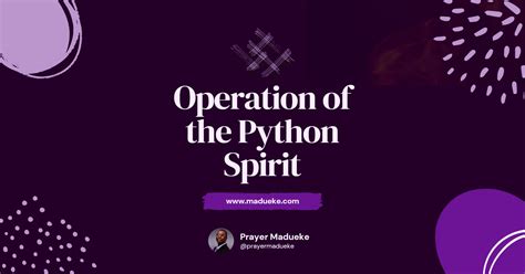 Image result for Spirit of Python Bible