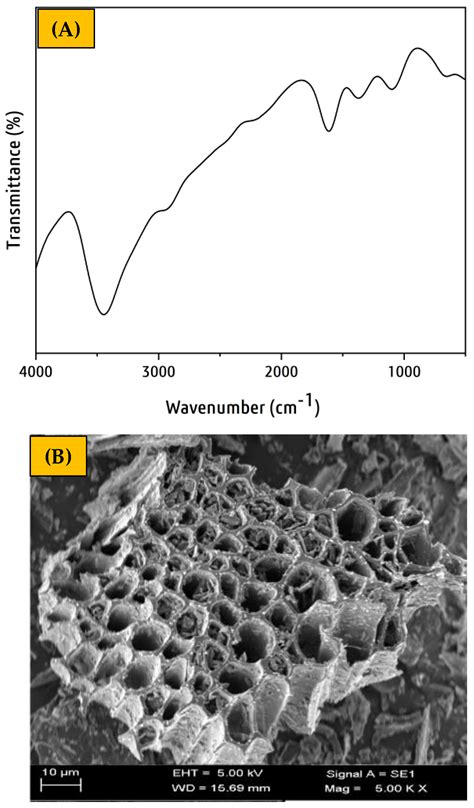 Synthesis, Characterization and Performance Evaluation of Burmese Grape ...
