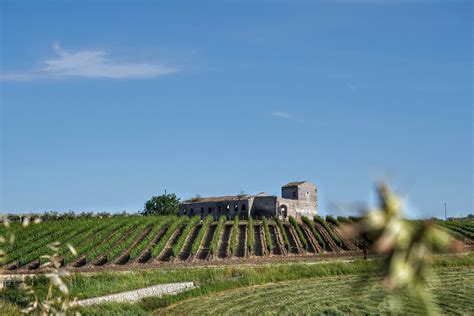Interno della cantina – Botti di rovere e acciaio