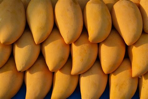 Image result for Compound Element Examples