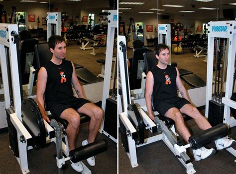 isotonic exercises | Health unit, Body systems, Body health