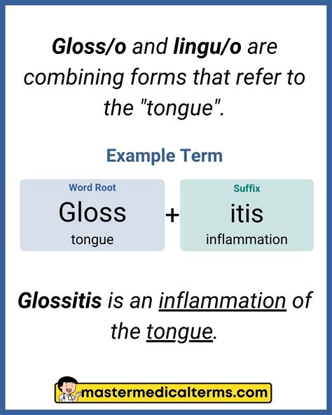 Word Roots for Organs - Master Medical Terms