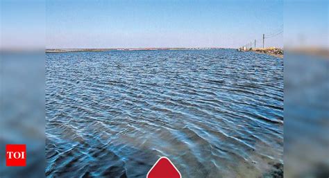 Sambhar: A Lake No More | Jaipur News - The Times of India