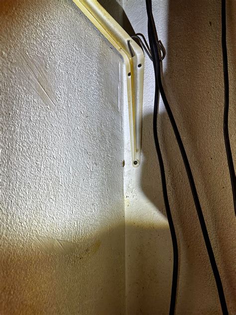 Cockroach Infestation Solutions 的图像结果