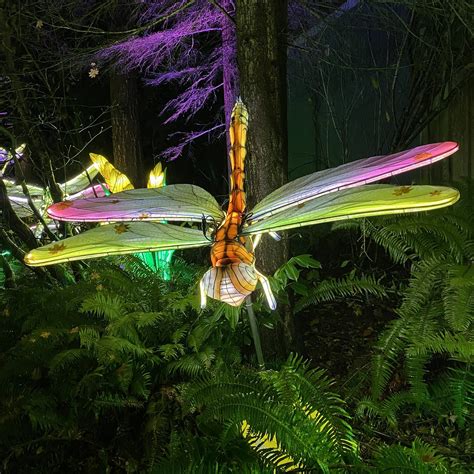 Wild Lanterns | Image taken at the Woodland Park Zoo, Seattl… | Flickr