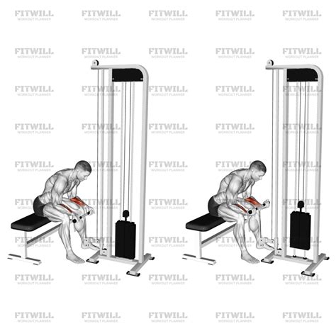 Cable Wrist Curl: Exercise Guide, Video, Techniques, Benefits, How to ...