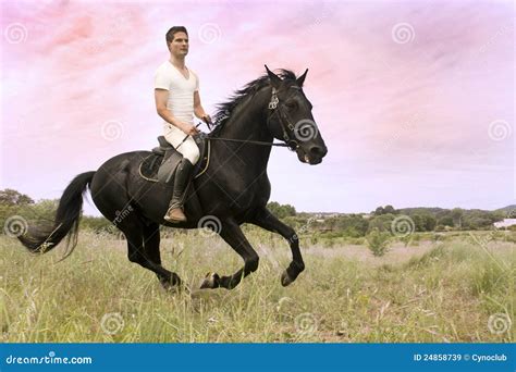 Young man and horse stock image. Image of male, young - 24858739