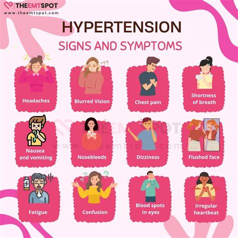 High Blood Pressure (Hypertension): Symptoms, Causes, Diagnosis And Treatment | TheEMTSpot