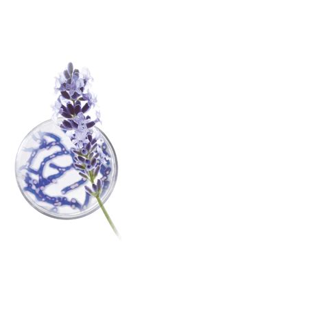 La routine teint éclatant pour avoir une peau radieuse