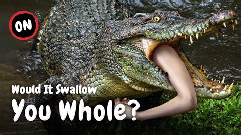 Alien Crocs Eating People 的图像结果