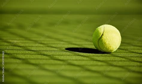 Tennis, sport and fitness with tennis ball on turf with green closeup ...