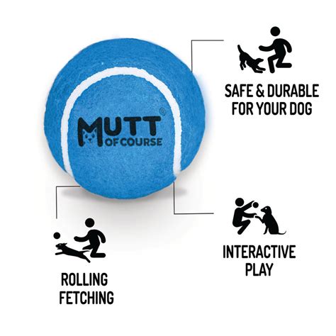 Squeaky Fetch Balls - Set of 2 – Mutt of Course