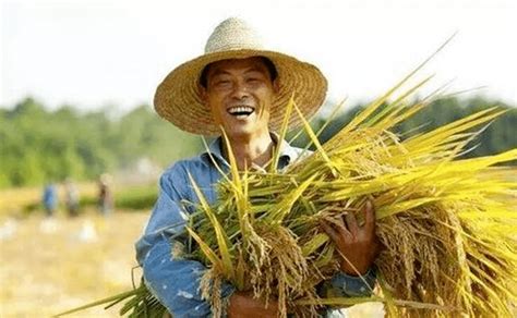 大量农村年轻人不愿种地，这没关系——中国未来不会缺少种地农民