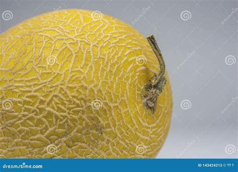 Growing Mature Golden Yellow Chinese Hami Melon Stock Image - Image of ...